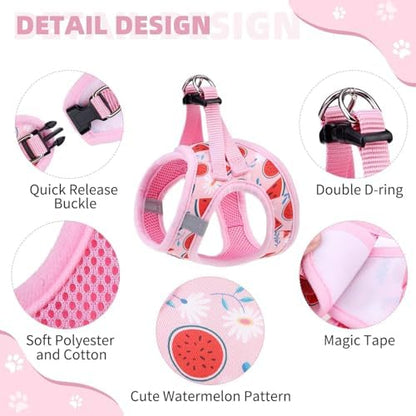 KOOLTAIL Dog Harness and Leash Set - Image 2