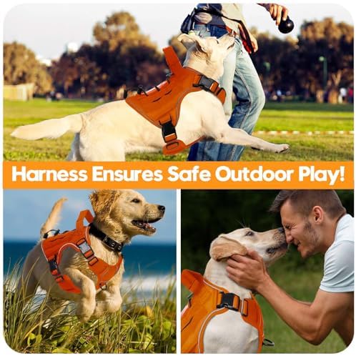 Heavy-Duty Tactical Dog Harness - Image 6