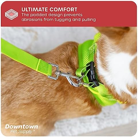 Downtown Pet Supply Step-in Dog Harness – No Pull, Adjustable Padded Mesh - Image 5