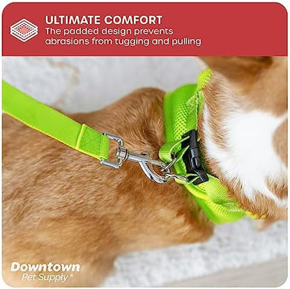 Downtown Pet Supply Step-in Dog Harness – No Pull, Adjustable Padded Mesh - Image 5