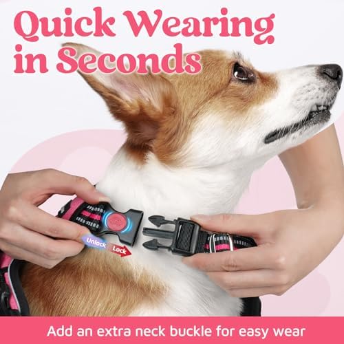 rabbitgoo Dog Harness for Large, No Pull 3 Buckles Easy On & Off - Image 2
