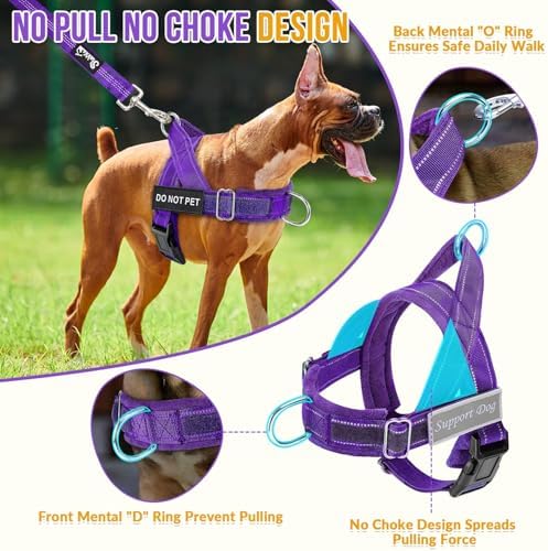 SlowTon No Pull Dog Harness and Leash Set - Image 2