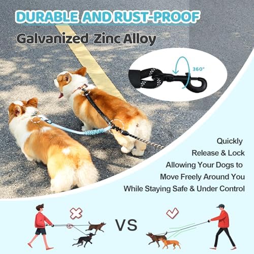 Double Dog Leash - Image 4