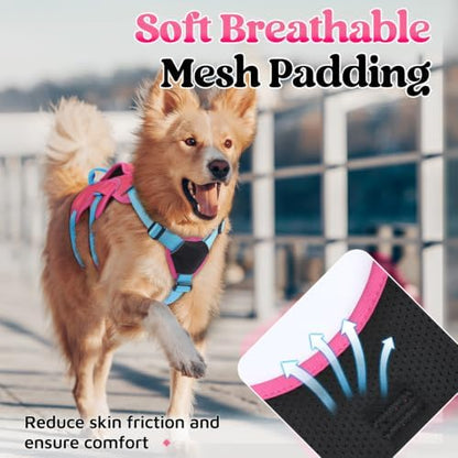 rabbitgoo Escape Proof Dog Harness - Image 6