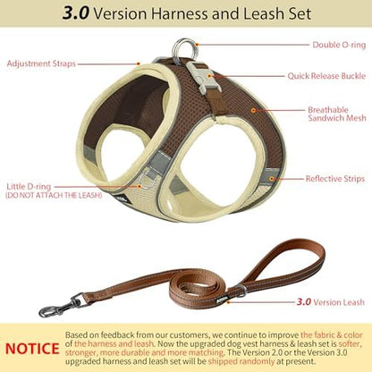 AIITLE Medium Dog Harness and Leash Set, Step-in Puppy Pet Vest - Image 3