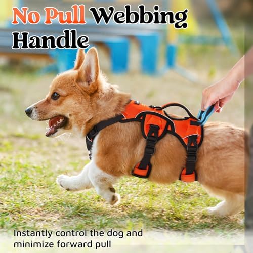 rabbitgoo Escape Proof Dog Harness - Image 4
