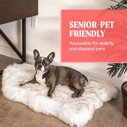 PAW Brands PupRug Orthopedic Memory Foam Dog Bed - Image 6