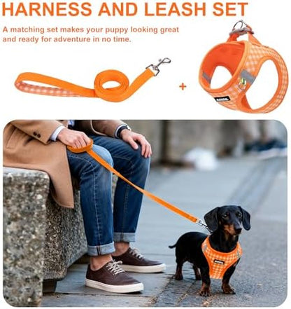 AIITLE Step in Small Dog Harness and Leash Set, Puppy Pet Vest - Image 4