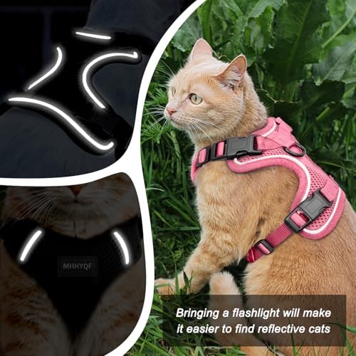 Cat Harness, Cat Harness and Leash - Image 3