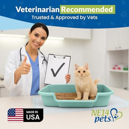 KittyGoHere Senior Cat Litter Box, Large Litter Pan, 2 Pack, Apple Green - Image 4