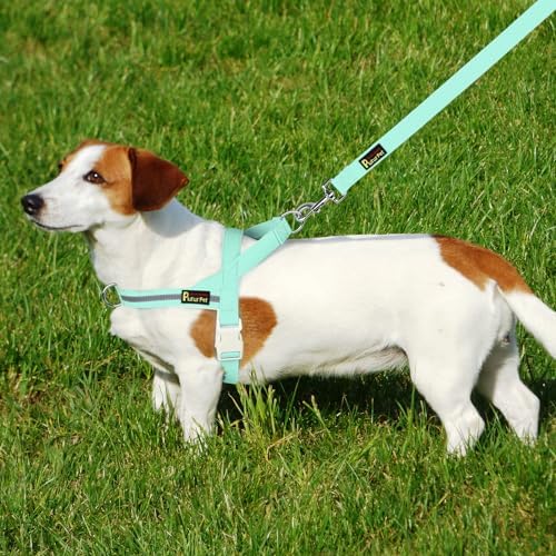 Plutus Pet Cotton Dog Harness and Leash Set, Reflective and Soft Padded - Image 6