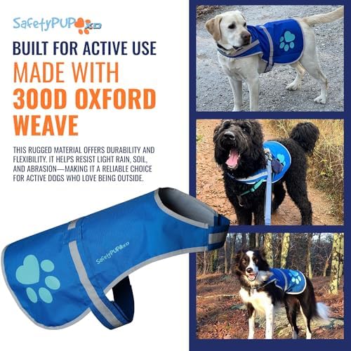 Reflective Dog Vest, Hi Vis Safety Gear - Image 6