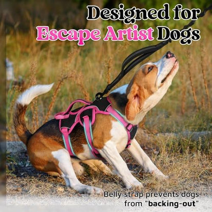 rabbitgoo Escape Proof Dog Harness - Image 2