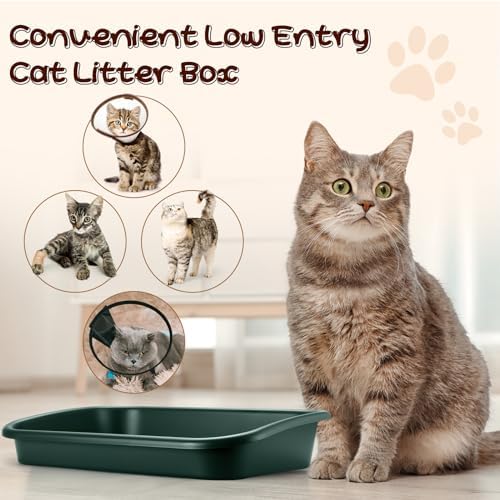 Uiifan 3Pcs Large Low Entry Cat Litter Box, Dark Green - Image 4