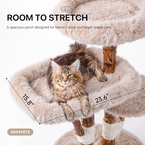 Sopapets Maine Coon Cat Tree for Large Cats, Solid Wood Cat Tower - Image 2