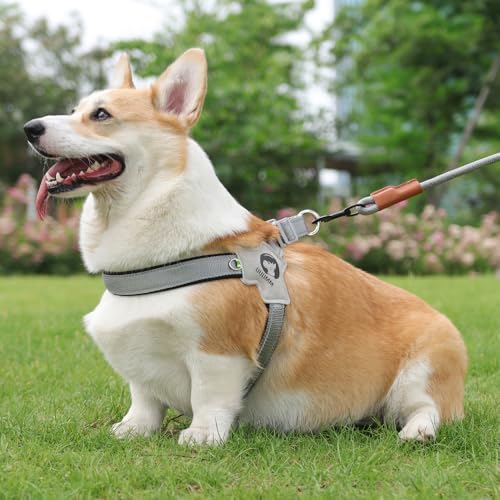 No Pull Small Dog Harness, Adjustable Puppy Soft Vest Harness - Image 2