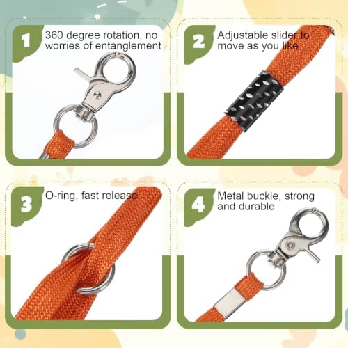 Dog Grooming Leash - Image 4