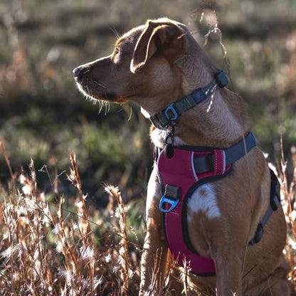 Embark No Pull Dog Harness, Reflective Adjustable Training Vest, No Choke - Image 3