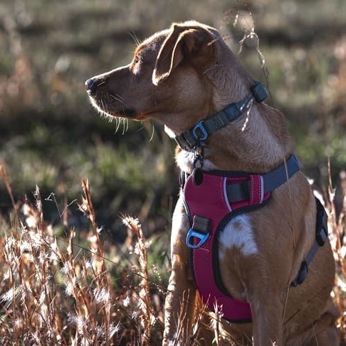 Embark No Pull Dog Harness, Reflective Adjustable Training Vest, No Choke - Image 2