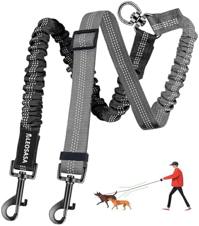Double Dog Leash by LEOSASA