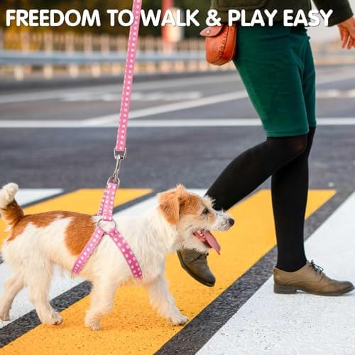 BINGPET No Pull Dog Harness Leash Collar Set, Adjustable Step-in Vest - Image 2