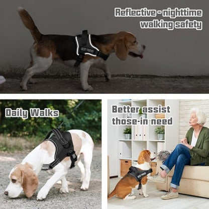 AUROTH Dog Harness and Leash Set Small Sized Dog, No Pull Escape Proof Vest - Image 2