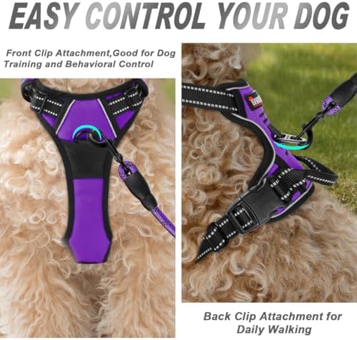 BARKBAY Dog Harness No Pull for Small Sized Dog Front Back Clips, Dog Vest - Image 2