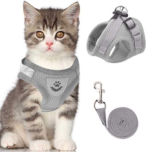 Cat Vest Harness and Leash Set, Escape Proof Kitten Harness Gray S by NCMAMA