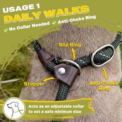 Fida Durable Slip Lead Dog Leash, 6 FT x 1/2" Dog Training Leash - Image 4