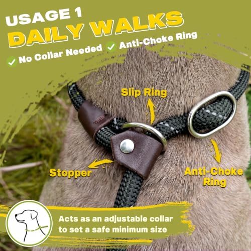 Fida Durable Slip Lead Dog Leash, 4 FT x 1/2" Dog Training Leash - Image 4