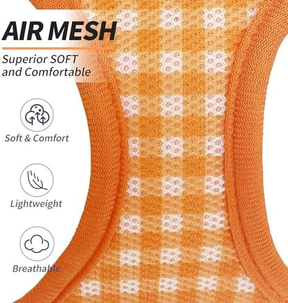 AIITLE Step in Medium Dog Harness and Leash Set, Puppy Pet Vest - Image 2