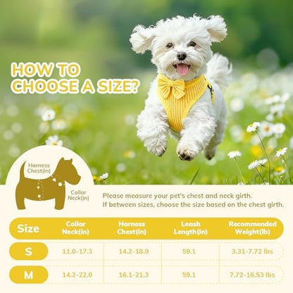 Small Dog Collar Harness and Leash Set, Dog Harness no Pull - Image 2