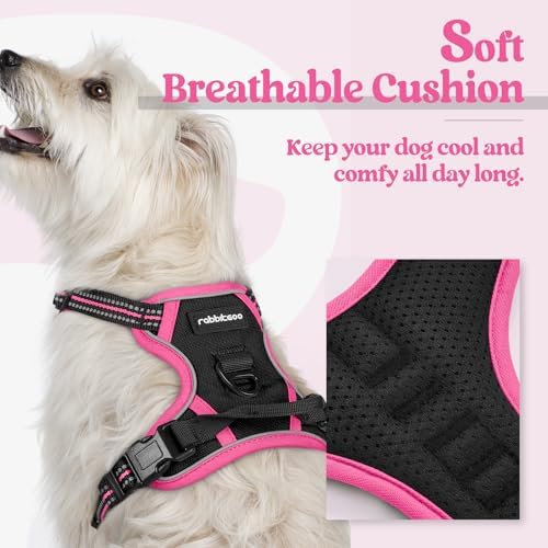 rabbitgoo Dog Harness, No Pull for Small Dogs - Image 2