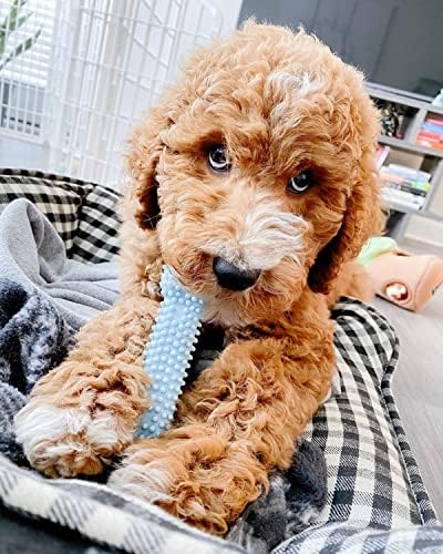 Nylabone Puppy Chew Blue Textured Teething Dog Bone - Image 2