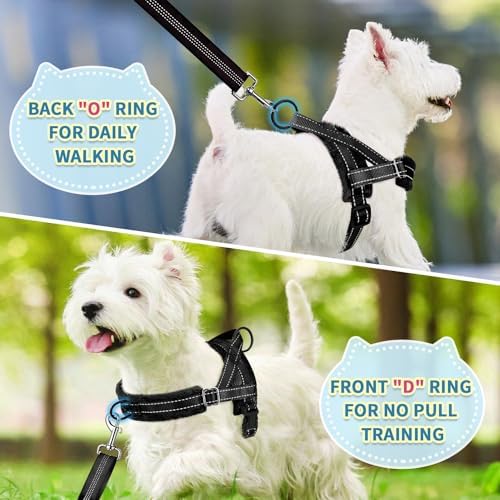 SlowTon No Pull Small Dog Harness and Leash Set - Image 4