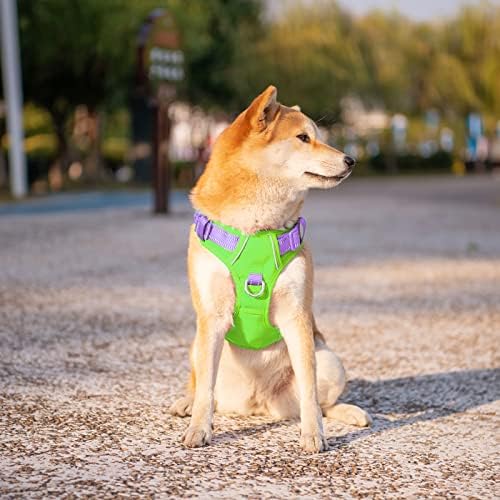 PHOEPET No Pull Dog Harness, Unique Colors Reflective Adjustable Dog Vest - Image 3