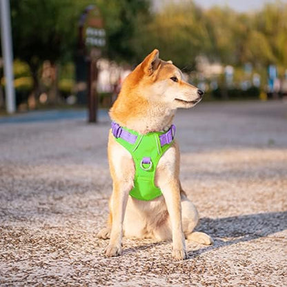 PHOEPET No Pull Dog Harness, Unique Colors Reflective Adjustable Dog Vest - Image 3