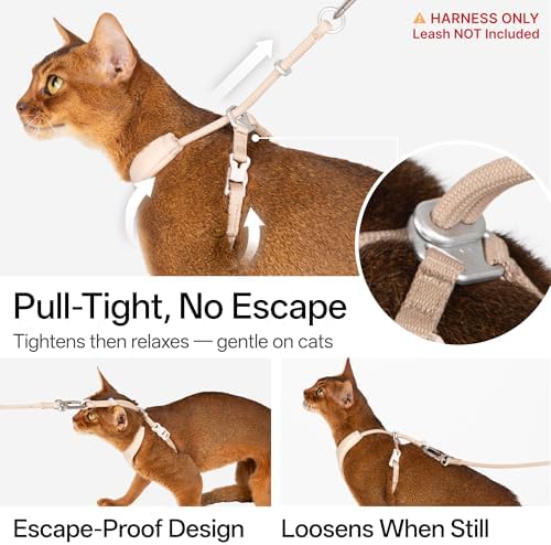Escape Proof Y Shape Cat Harness Anti-Choke - Image 3