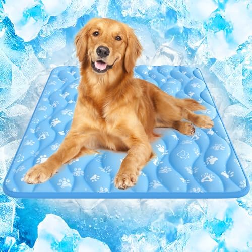 Rywell 44x32in Dog Cooling Mat by Rywell