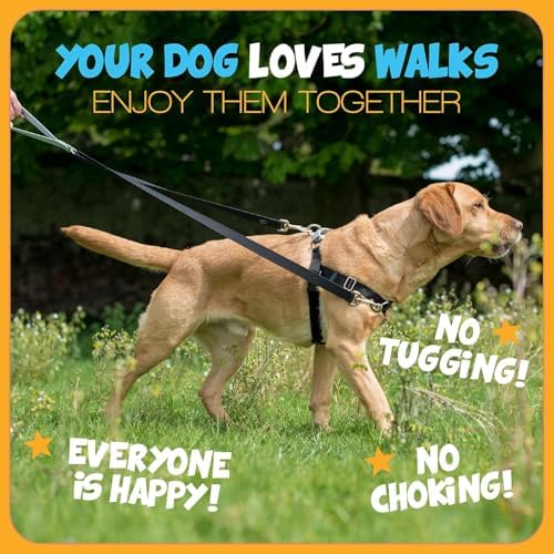 2 Hounds Design Freedom No Pull Dog Harness and Leash - Image 5