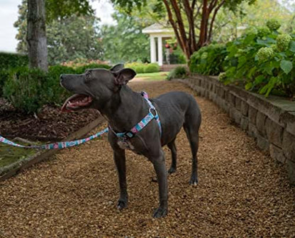 Country Brook Petz - Image 2