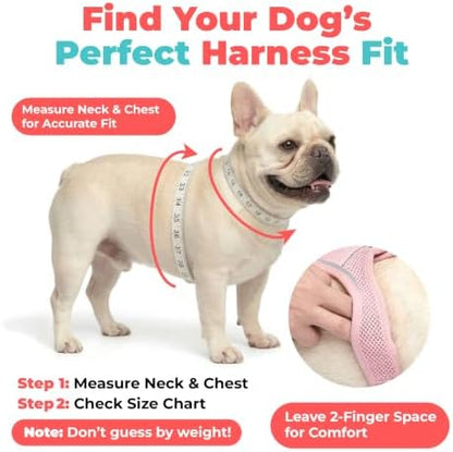 Voyager Step-in Air Dog Vest Harness - Image 6