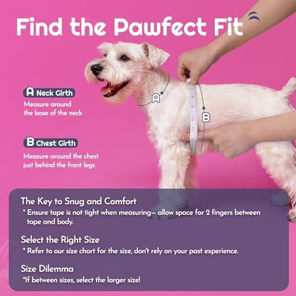 Eagloo Small Dog Harness and Leash Set, Step in Extra Small Puppy Pet Vest - Image 2