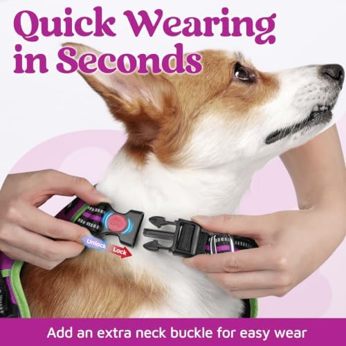 rabbitgoo Dog Harness Small Sized, No Pull 3 Buckles Easy On & Off - Image 2