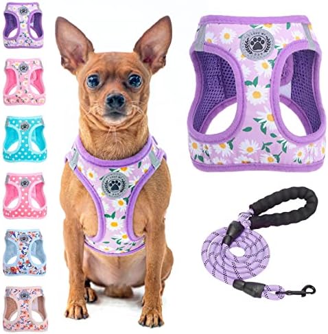 BEAUTYZOO Small Dog Harness and Leash Set, No Pull Puppy Pet Vest-Floral by BEAUTYZOO