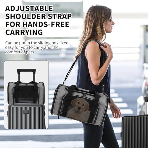 Carriers Soft-Sided Pet Carrier - Image 2