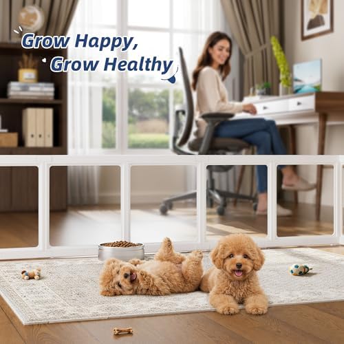 Clear Acrylic Dog Playpen Indoor Pet Pen, 10 Panels - Image 6