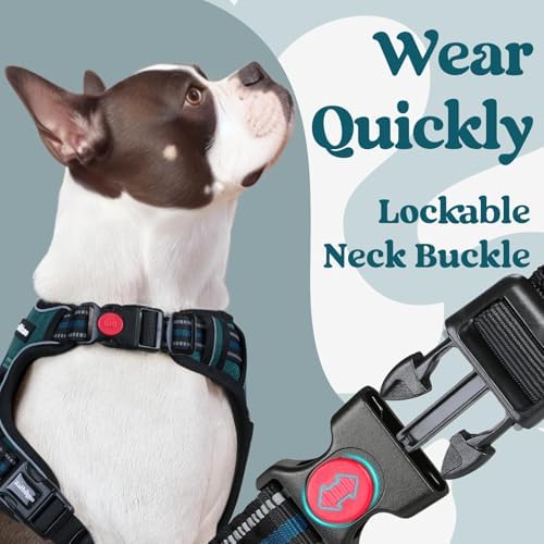 rabbitgoo Dog Harness Small Sized, Updated Easy On & Off - Image 3