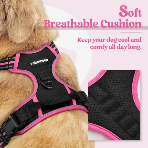 rabbitgoo Dog Harness, No Pull for Large Dogs - Image 2