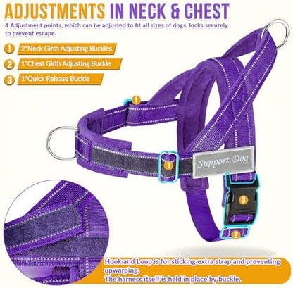 SlowTon No Pull Dog Harness and Leash Set - Image 5